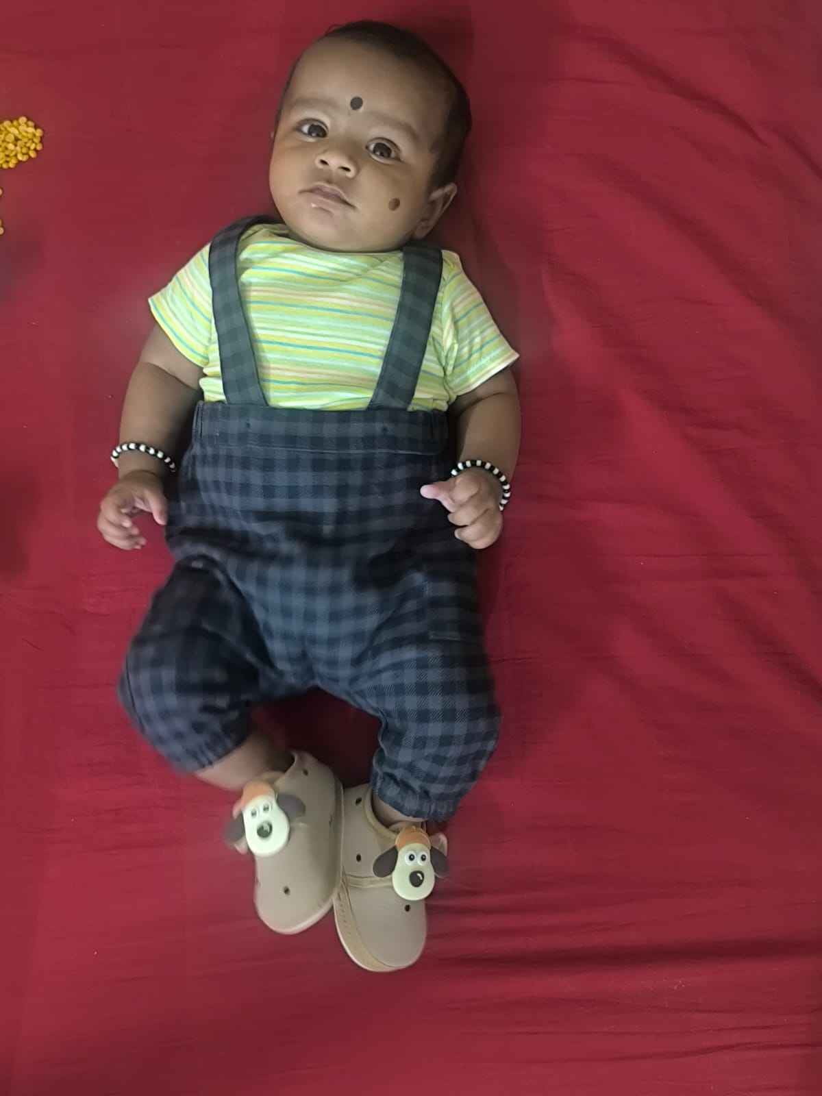 Dhanvik kumar s